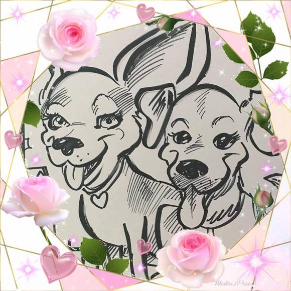 Meet your Posher, Suzy - Picture 1 of 1